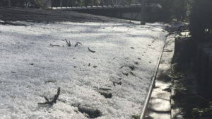 Hail