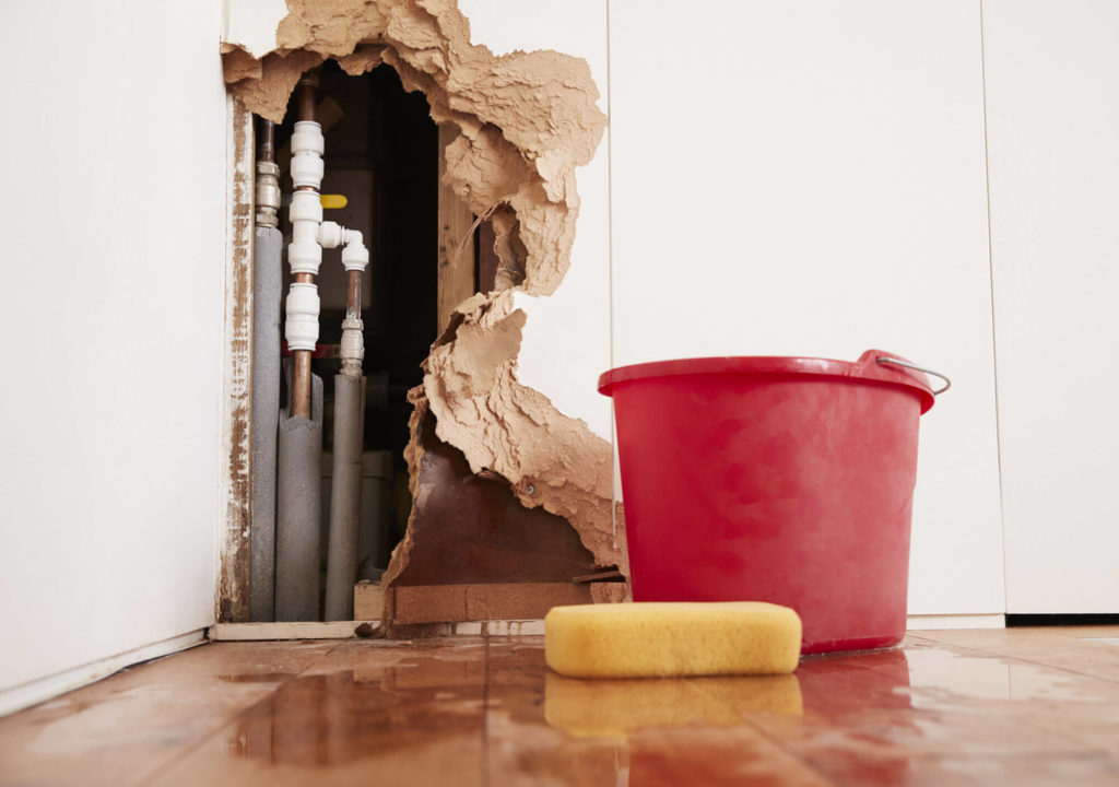 Shaw-Plumbing-and-Gas-Leak-detection
